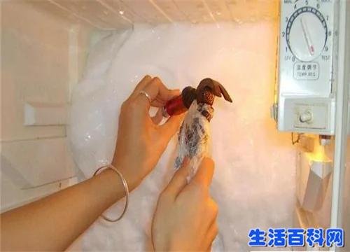 家里冰箱为什么总是结霜?多亏邻居的这招!超实用