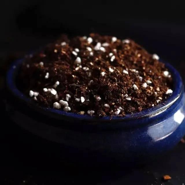 这6种溶液都很适合用来浇花 保证花叶越长越好