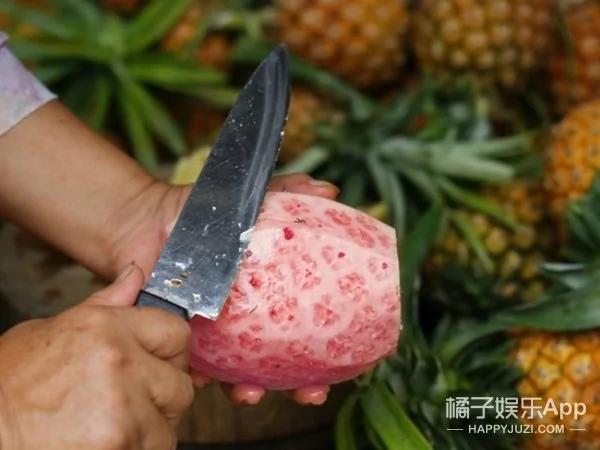 这款粉红菠萝就要上市了 感觉被萌到了