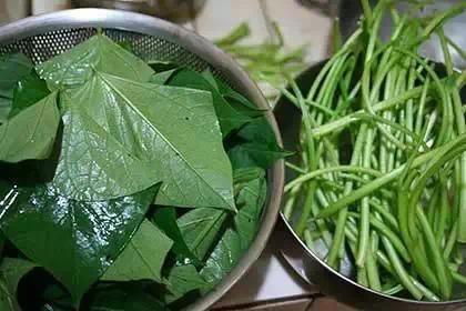 家里常吃“它” 胜过吃人蔘100倍!可惜很少人知道 一定要分享出去!!