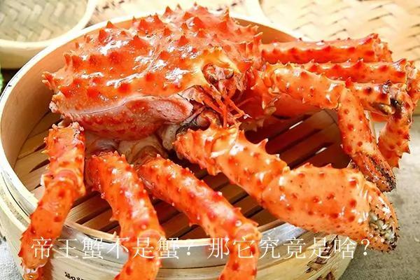 帝王蟹不是蟹?那它究竟是啥?