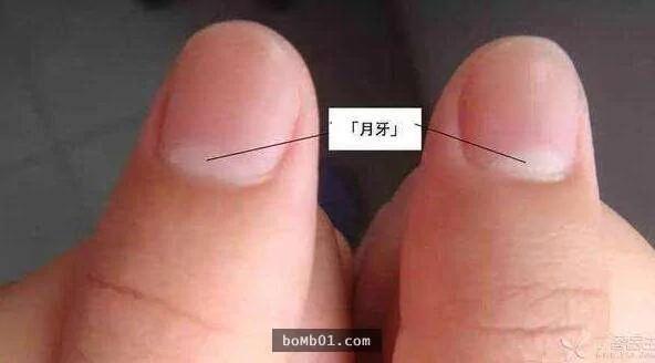 如果你发现指甲上的“月牙”面积慢慢变少 那就代表“早衰”