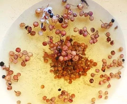 花椒这样用抗衰老、防白发…能治九种病