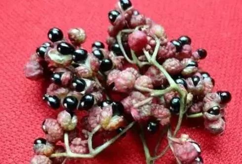 花椒这样用抗衰老、防白发…能治九种病