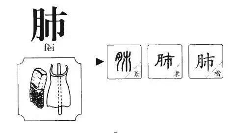 这几个汉字看似简单 可99%人都写错了