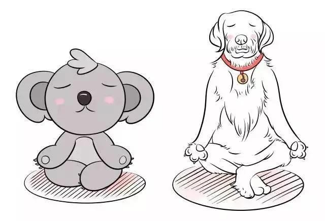 你有一个警告请查收:别再说XXX睡得像头猪!