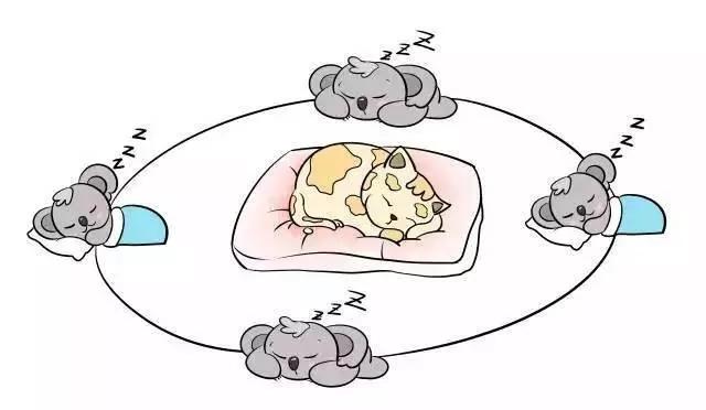 你有一个警告请查收:别再说XXX睡得像头猪!