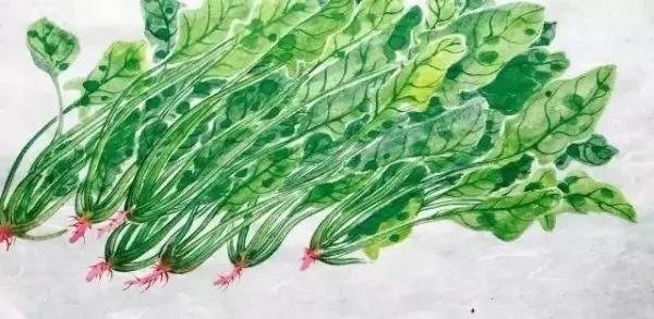 为什么24节气中只有“小满”没有“大满”?