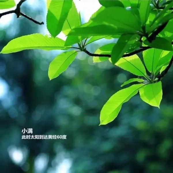 为什么24节气中只有“小满”没有“大满”?