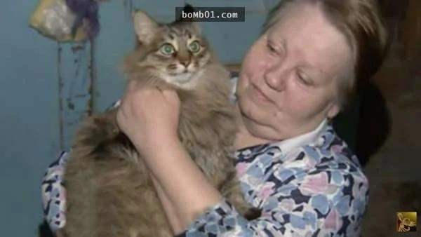 俄罗斯小男婴被遗弃在破旧的纸箱内 结果这只流浪猫的举动…