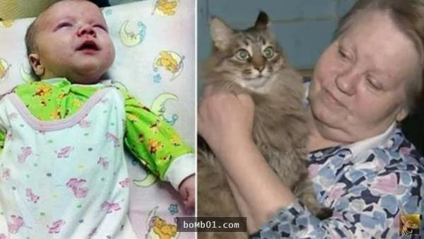 俄罗斯小男婴被遗弃在破旧的纸箱内 结果这只流浪猫的举动…