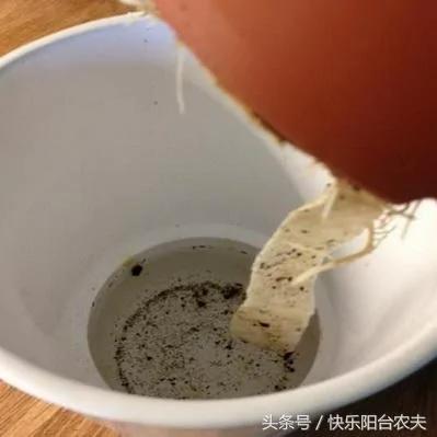 学会这几种简单的自动阳台浇水妙招 种花种菜不再愁