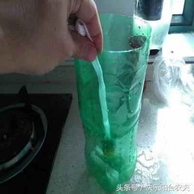 学会这几种简单的自动阳台浇水妙招 种花种菜不再愁