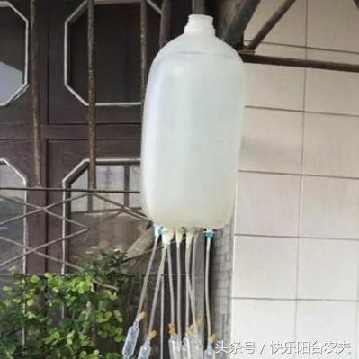 学会这几种简单的自动阳台浇水妙招 种花种菜不再愁