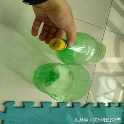 学会这几种简单的自动阳台浇水妙招 种花种菜不再愁