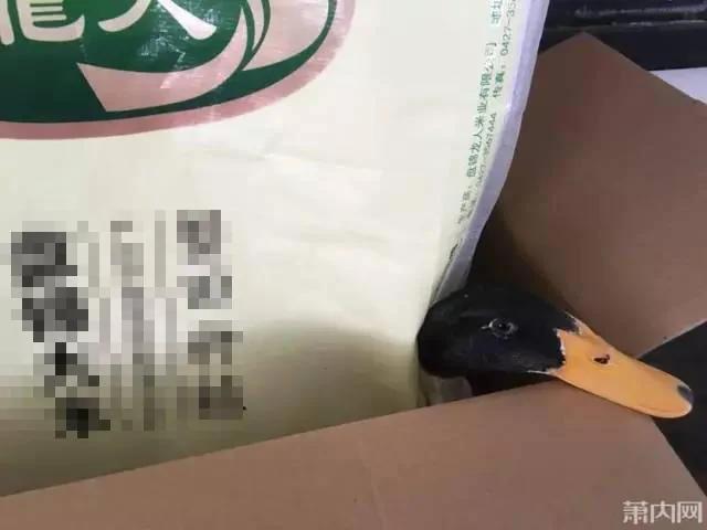 姑娘晒出单位端午福利 网友一看全喷了