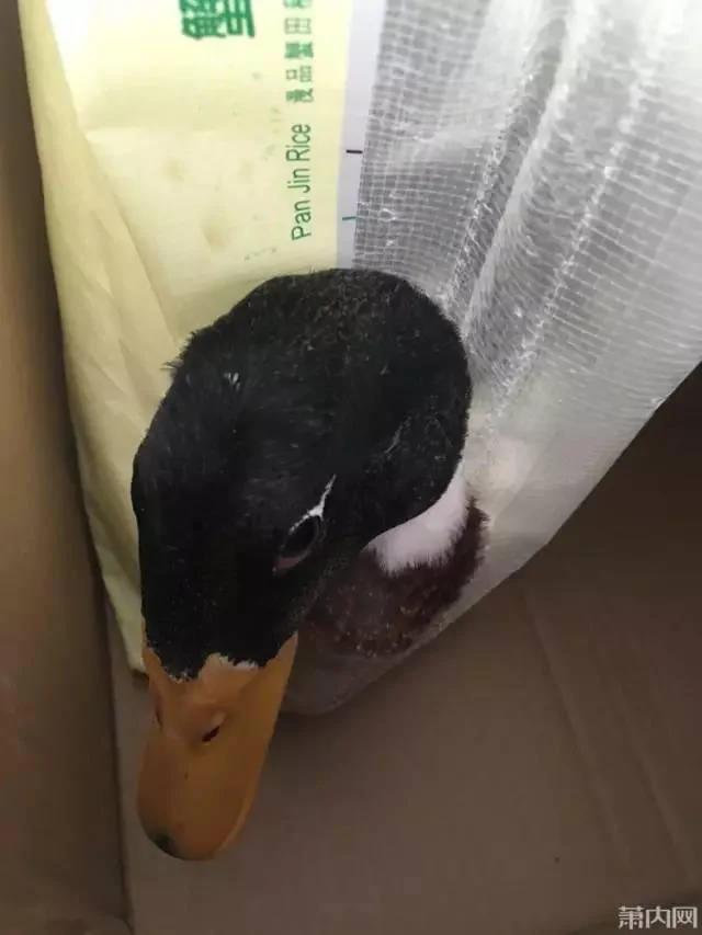 姑娘晒出单位端午福利 网友一看全喷了