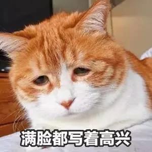姑娘晒出单位端午福利 网友一看全喷了
