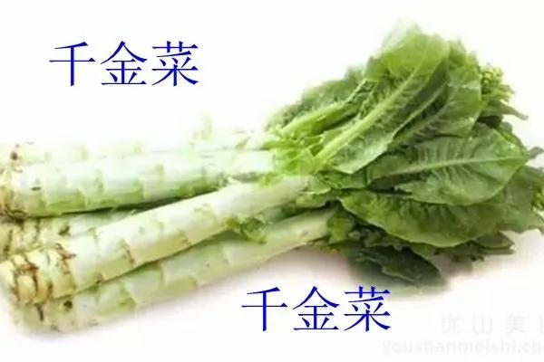 “千金菜”:比红薯的抗癌效果还要强!饭桌上怎能少了它?