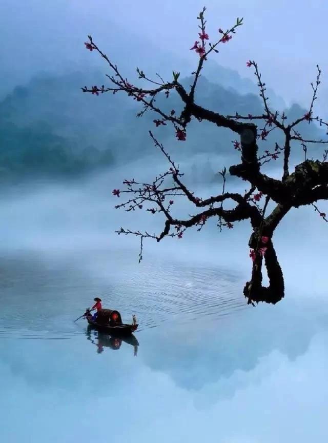 千年的沉淀与升华 品悟儒者的八大智慧结晶
