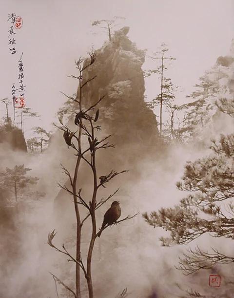拍摄出来的水墨丹青