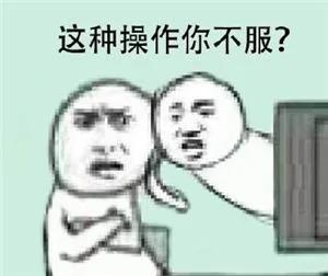外国人:粽子真好吃 就是外面的生菜有点硬…