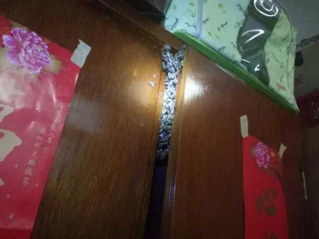 姑娘3天没关窗 打开衣柜吓哭了