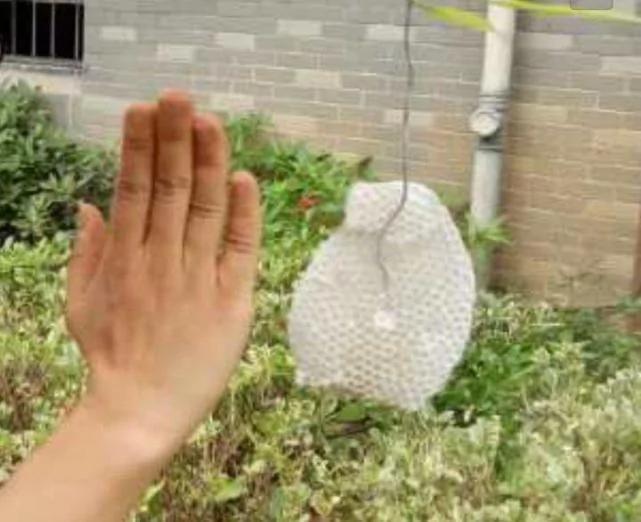 姑娘3天没关窗 打开衣柜吓哭了