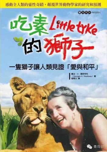一只吃素的狮子 感动了全世界