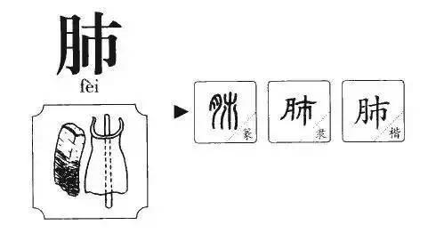 这7个常见汉字看似简单 99%的人都写错了!简直不敢相信…