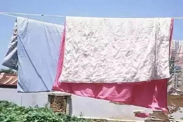 清洗+曝晒就能除掉600万只螨虫?!别天真了…