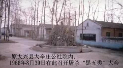 遇罗文:文革中大辛庄屠杀调查