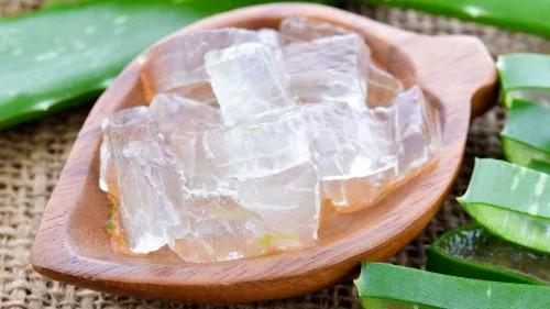 芦荟全身都是宝 鲜为人知的13种疗效