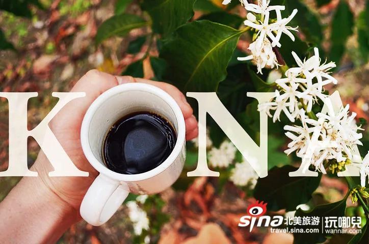 【海岛圆梦】:夏威夷”跳岛”攻略