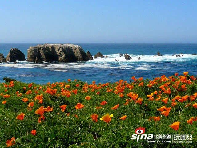 新加州一号公路自驾攻略——绕行指南