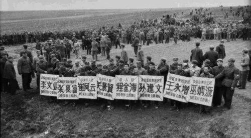 文革迫害狂的下场