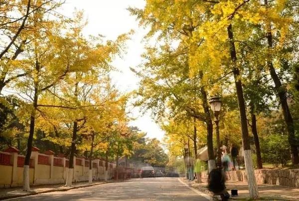 中国最有故事的十大历史文化名街 你逛过几条?