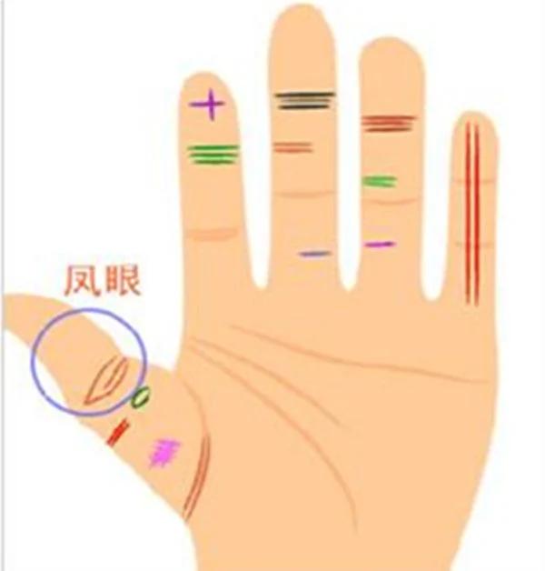 手掌有这三条纹的人 贵不可言 左手权大 右手财粗
