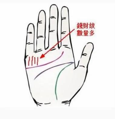 手掌有这三条纹的人 贵不可言 左手权大 右手财粗