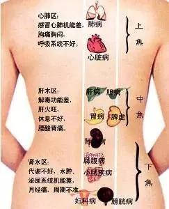 中医三焦功能 脏腑间的通道