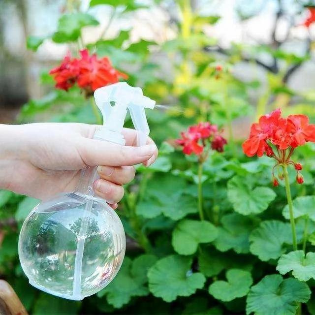 为什么在水里加磁铁 用来浇花养花 植物长得更好?