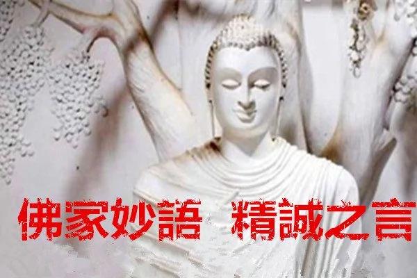 妙语人生 精诚之言