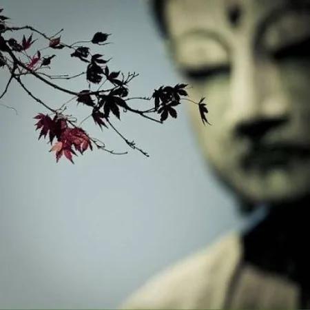 妙语人生 精诚之言