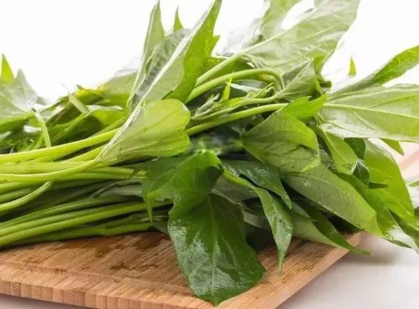 农村这种“野菜”一斤能顶3斤人参 多吃远离大病 越活越年轻
