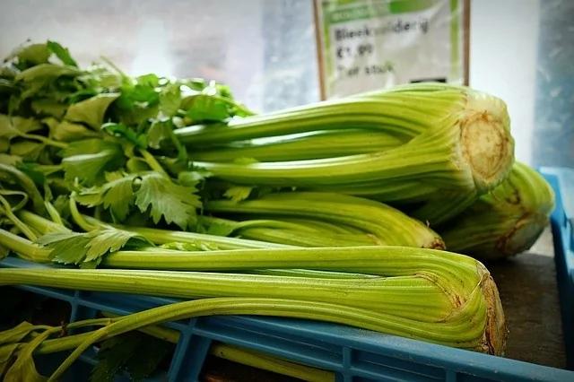 中医师教你芹菜的4种吃法 叶子别再丢掉了