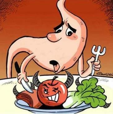 爱闹胃病的加班狂人都该看看