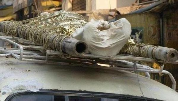 男童被毒蛇咬死11年后他的亲戚竟“再度遇见他”