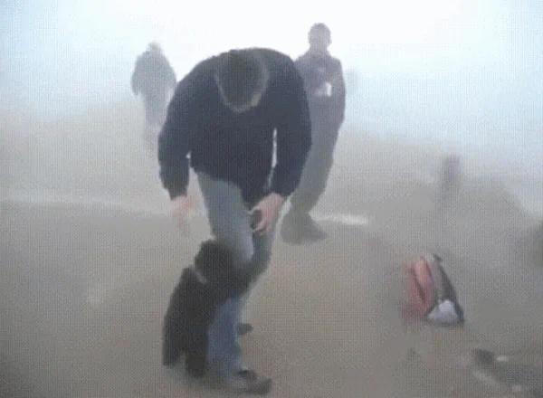 一只小熊被从火灾中救出后竟然找到救自己的男子紧紧搂住不让走~