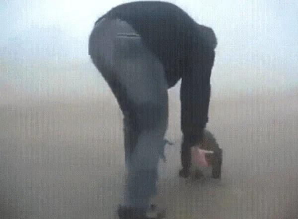 一只小熊被从火灾中救出后竟然找到救自己的男子紧紧搂住不让走~