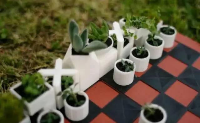 17种家庭植物和花盆创意